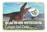 Campo del Cielo Iron Meteorite with Case - Argentina - Photo 2